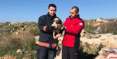 Definecilerin kazdığı kuyuya düşen köpek itfaiye ekiplerince kurtarıldı